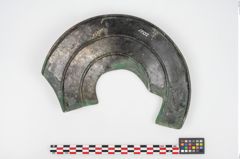 Foto von Bronzephalere (NHMW-PRAE-025561)
